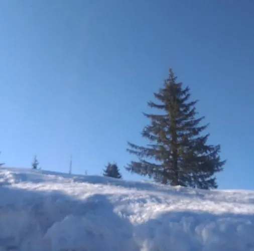 Lejlighed Milly Kopaonik