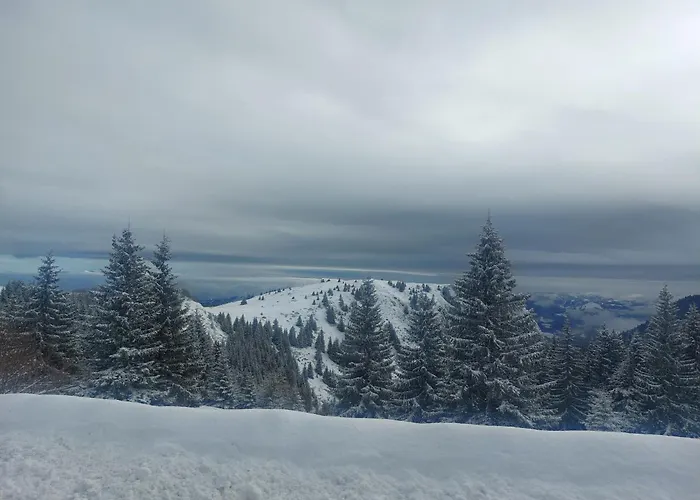 Milly Lejlighed Kopaonik